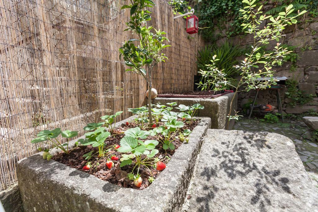 Bracara Hostel 브라가 외부 사진